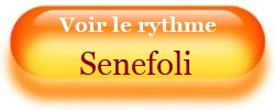 Voir le rythme Senefoli